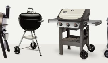 14 Best BBQ Grills & Tips for Choosing